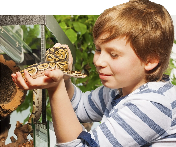 img capacitacion reptilario